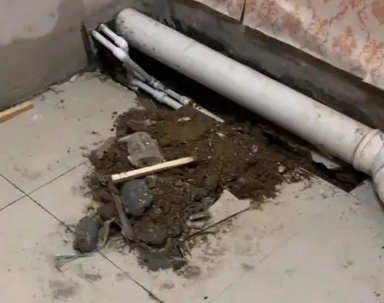 广饶卫生间漏水检测哪家好