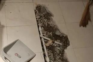广饶卫生间漏水检测电话